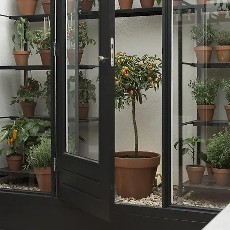 Hotel Boutique Manna & Blue 4*